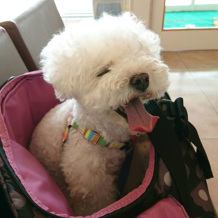 5f4722cb b936 417e 8c8d 02e6ab79d4c2