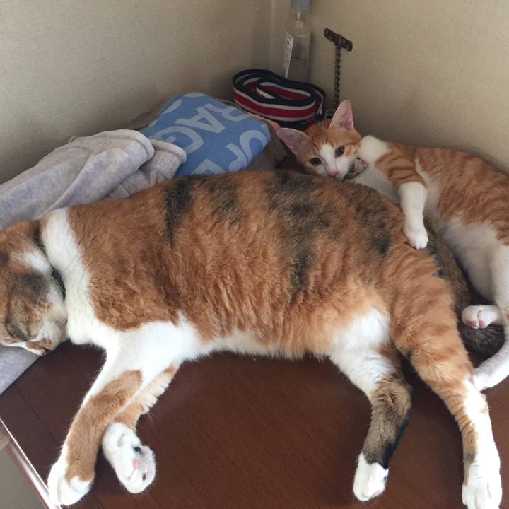 5f477f09 3365 4546 be0c 1ea56e71cc15