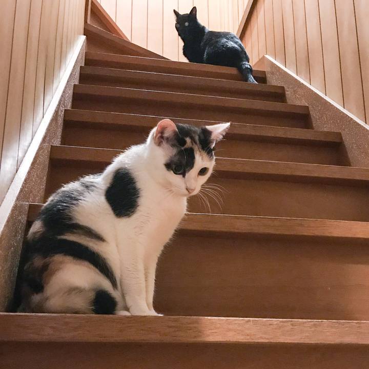 5f478449 c982 44c1 ae75 3b37d3e33511