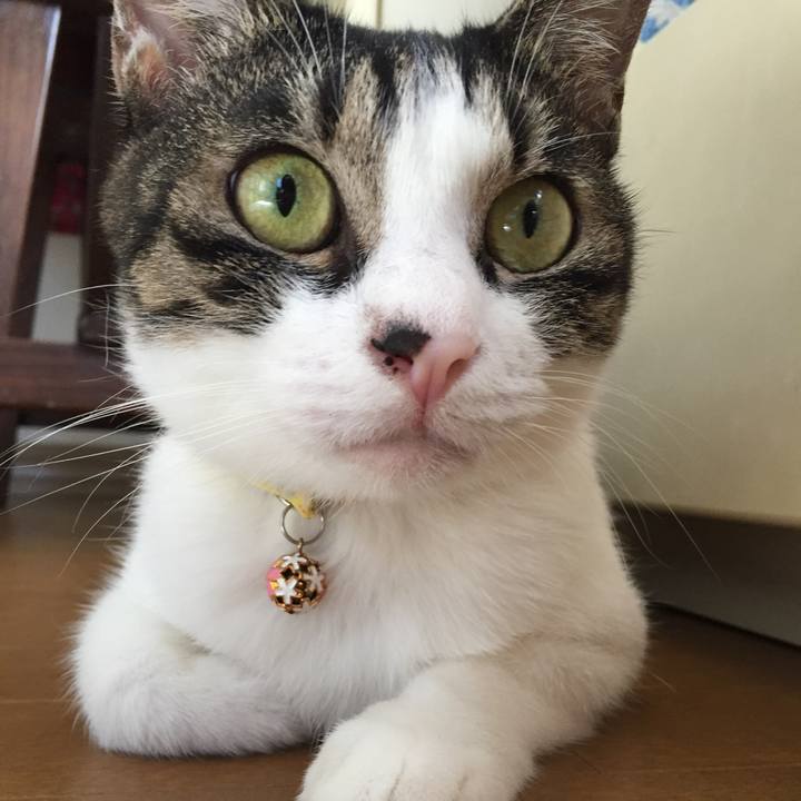 5f47aec9 2081 42c9 9d2c f378a14c48e7