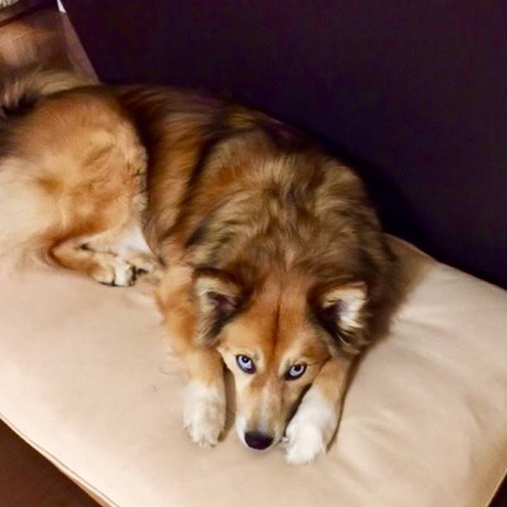 5f47fe7e c62a 4edb 9583 7e263906b3bf