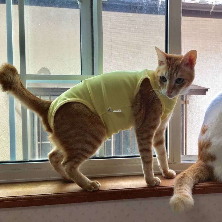 5f482626 fcc3 44a6 903f f6438f38ea1a