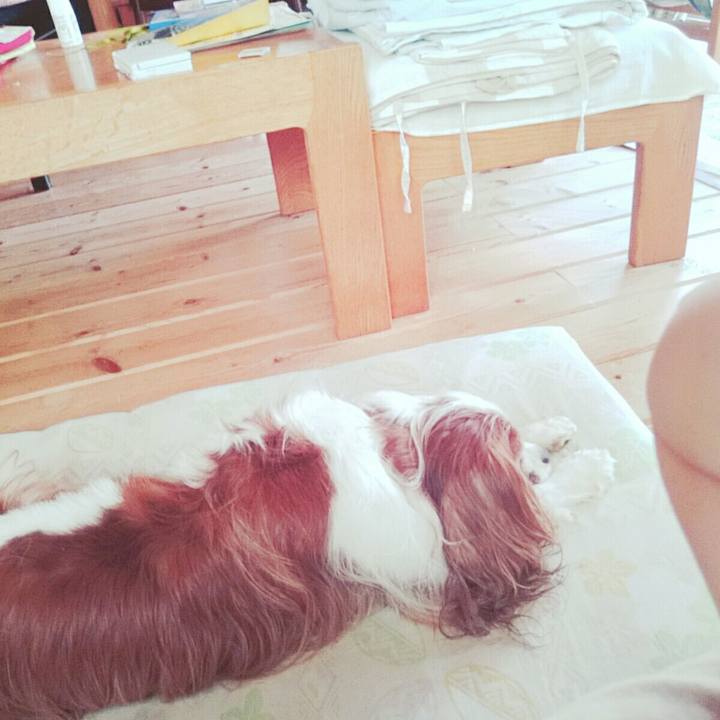 5f483e39 e117 43ea 9325 6424ae4eb50a