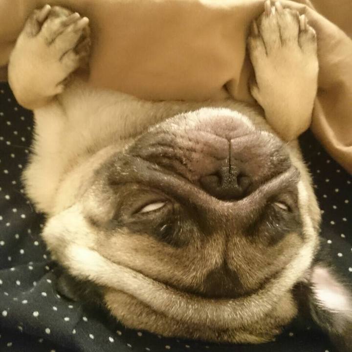 5f4857cf 5dc3 42a6 9461 623f53bb5e58