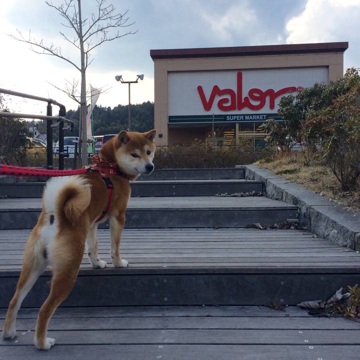 5f48b4b6 e5f6 4c44 b2f0 f995d9e15f48