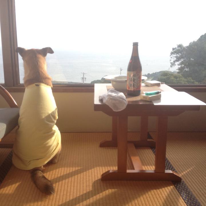 5f48da75 0251 4192 a0b6 7b756231c0f7