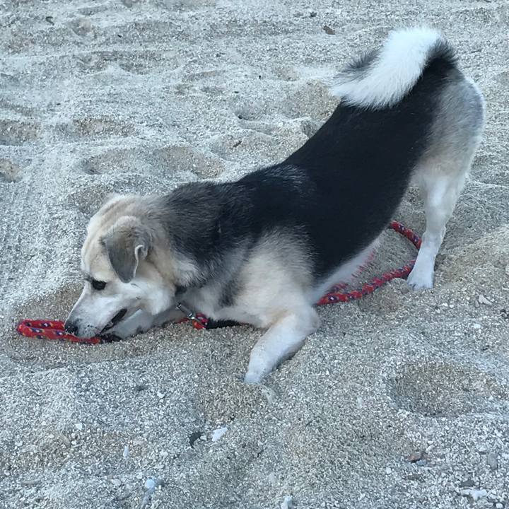 5f48e20d 8b13 4b04 a93e 98b2bd39bcd5