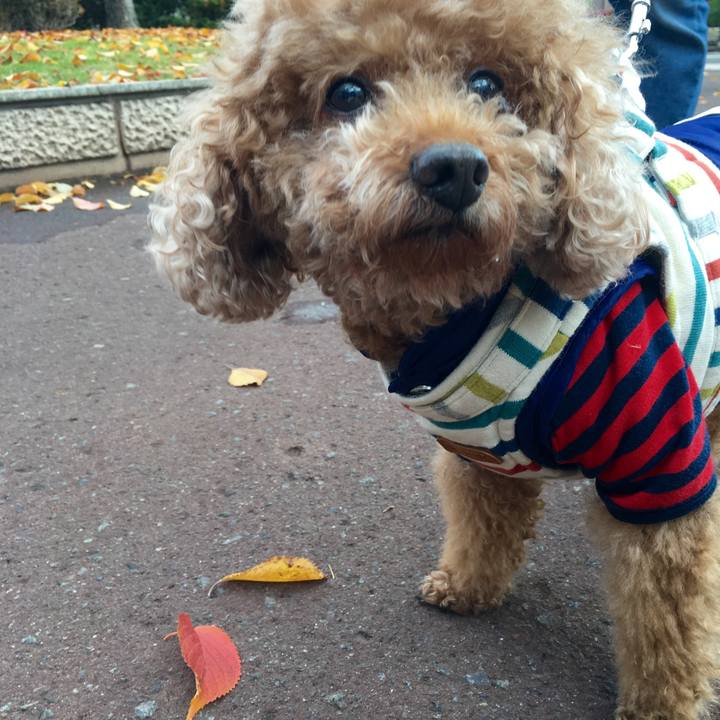 5f49020b b5a2 4144 a8ee 6e12025506c6