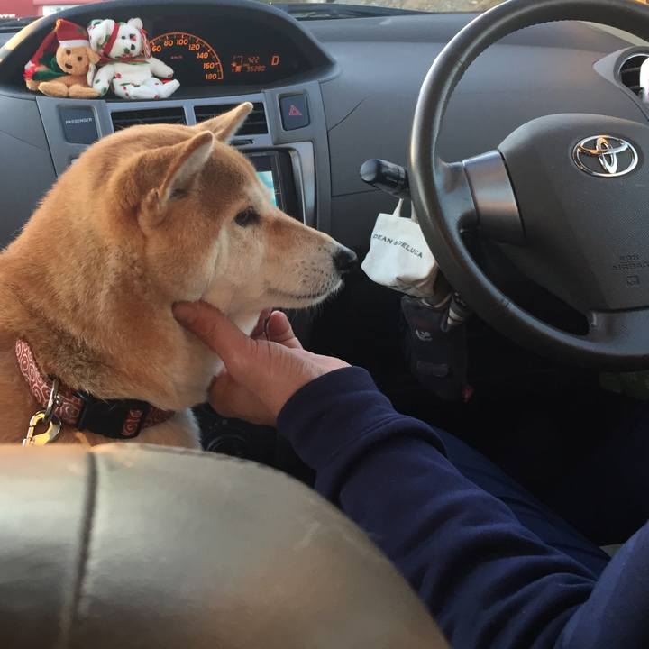 5f497c3b d176 4438 8c99 6558f4b21080