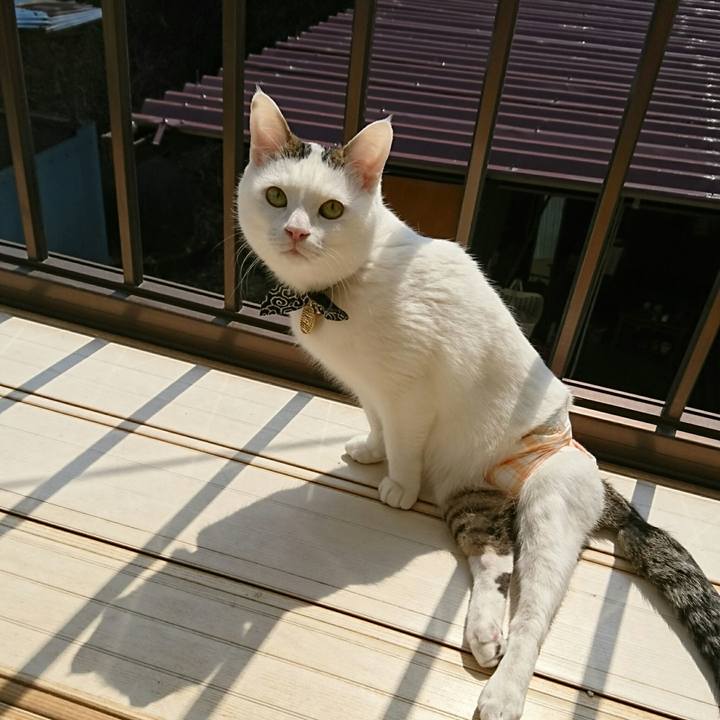 5f4a1305 3b31 459b 8c0d 15e384bf0f9a