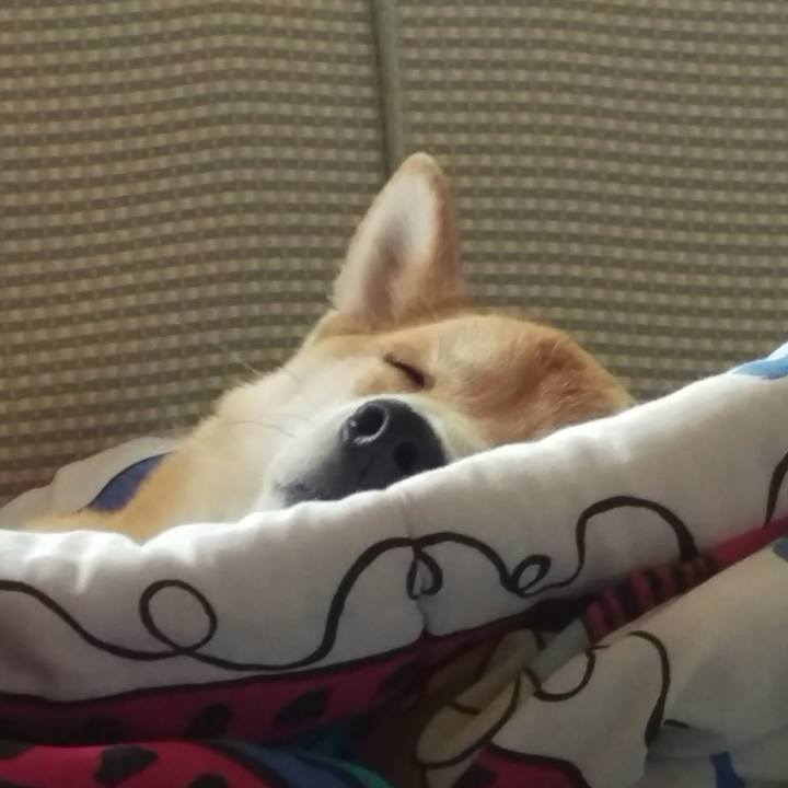 5f4a528b 10b5 4bda 99e5 34c897cbc2f9