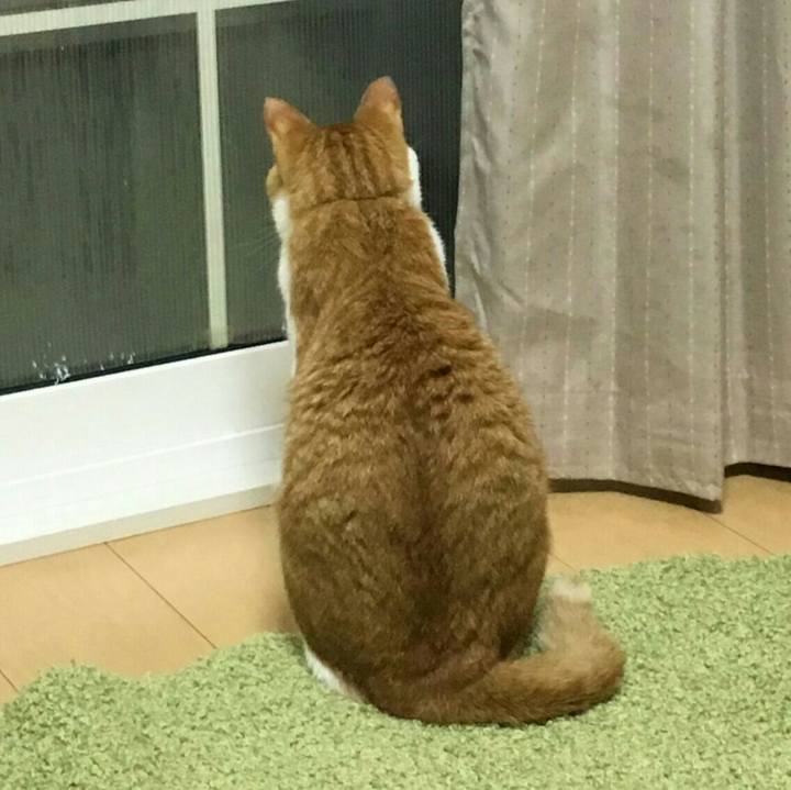 5f4ad1dd c54d 4a5c 9e37 bea7a7622000