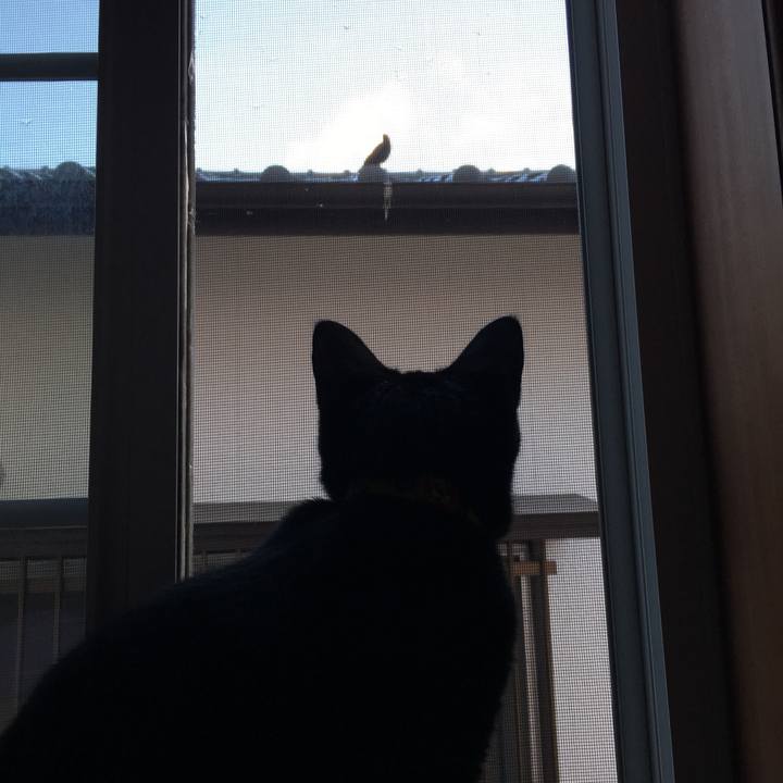 5f4af21c 7af4 4442 8610 002560025c40