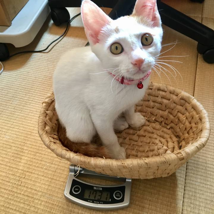 5f4b4564 105e 477a 96c5 6e59406154bc