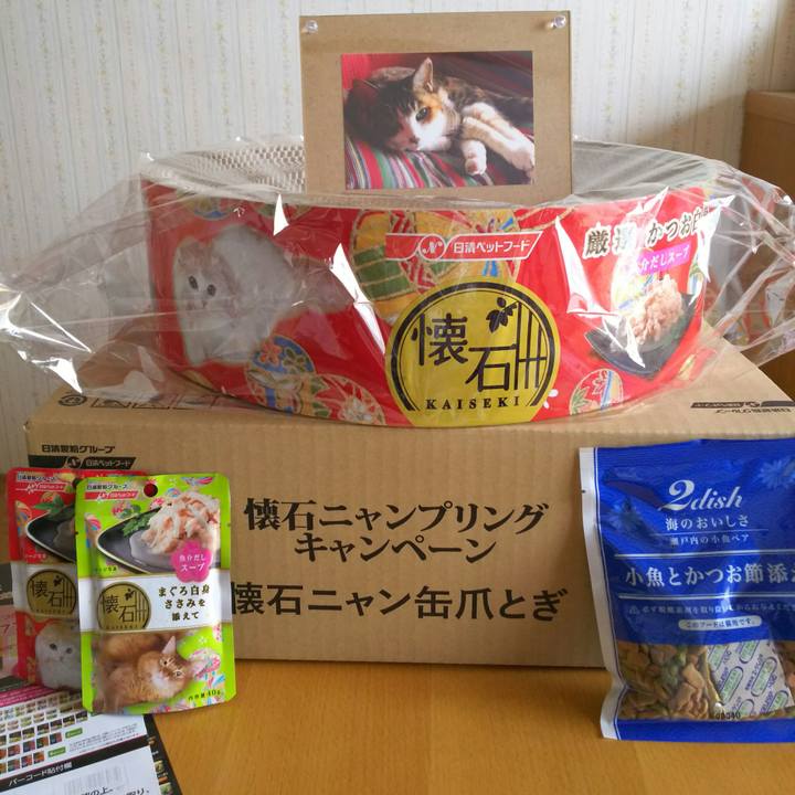 5f4b70ee 4d91 47ef 976c 622ffbc3eb2f