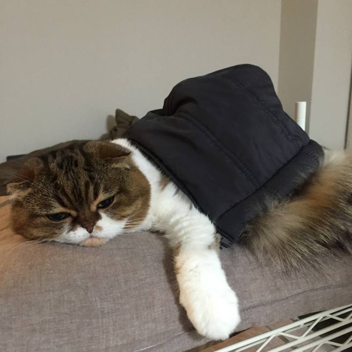 5f4b7aaa 0155 4f7e bf4d cecc75887917