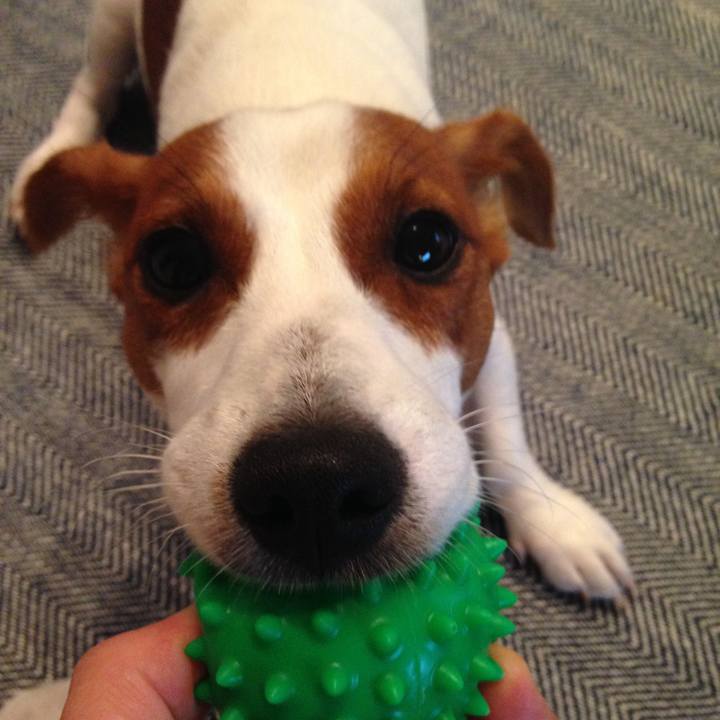 5f4bd190 3688 4a93 8052 f05eda484ccf