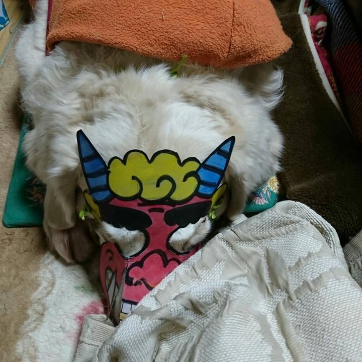 5f4c283e 92cb 4159 88f4 8511659d3b30