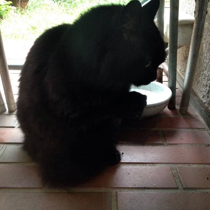 5f4c9fd1 21e4 4459 bf22 db20bfe63cd7