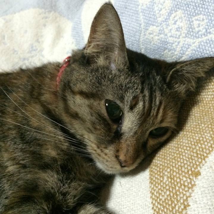 5f4dc620 c6a6 493f 99e0 460d3cffab4c