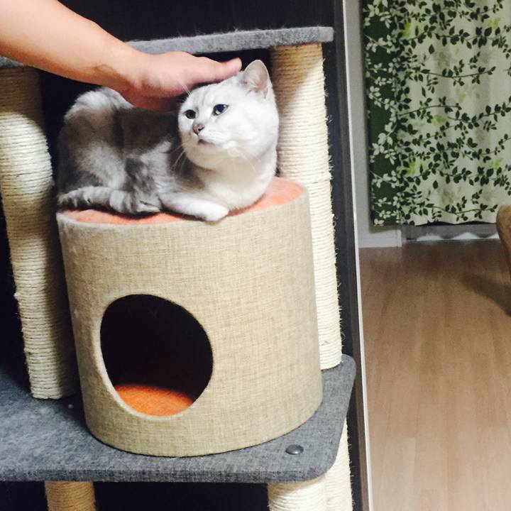 5f4dec0e bef3 47f2 a1f2 d93505cbb90c