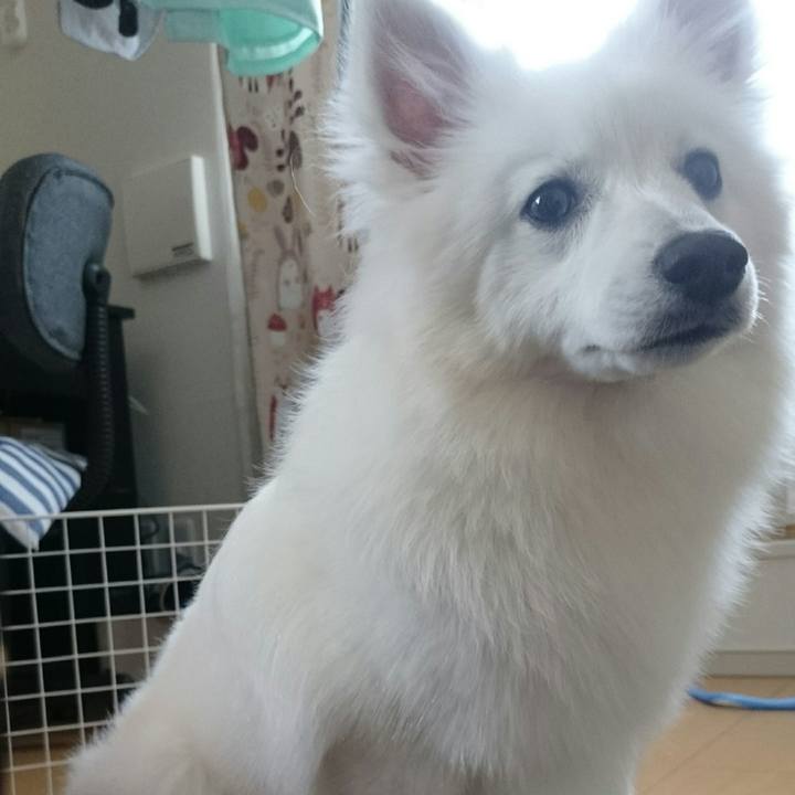 5f4dee1e bb6b 4daf 8432 538eb82865e2