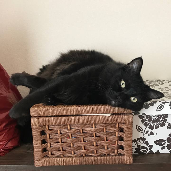 5f4ee741 bf3c 4067 bd66 d1eadcd3208c