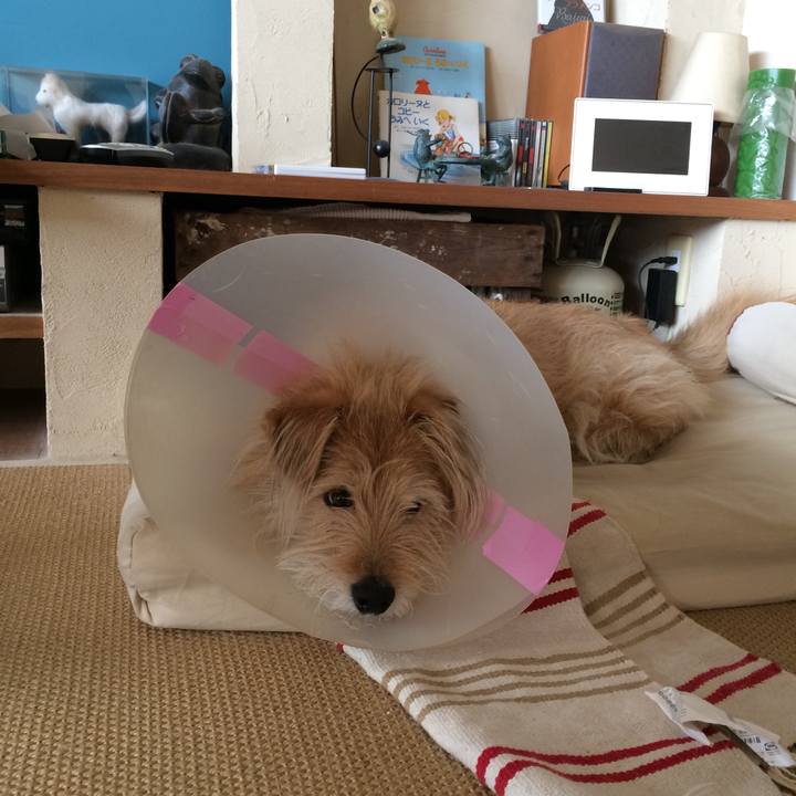 5f4fb632 96ae 4a92 82c1 6b94127ee9b7