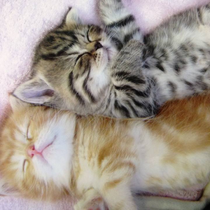 5f4fbc93 f879 4f51 a180 f3e45acc34de