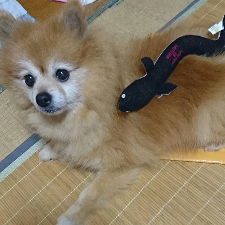 5f505502 8b86 4b06 87ca 6ab2253a297b