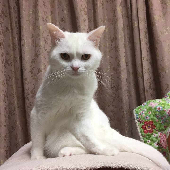 5f508307 9bdd 4492 8cb4 e0c267709607