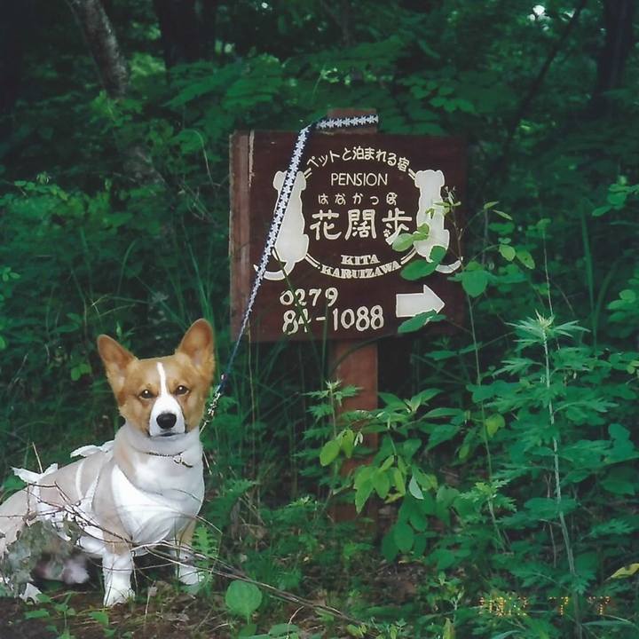 5f509d33 060c 462d 986b e0957981b62c