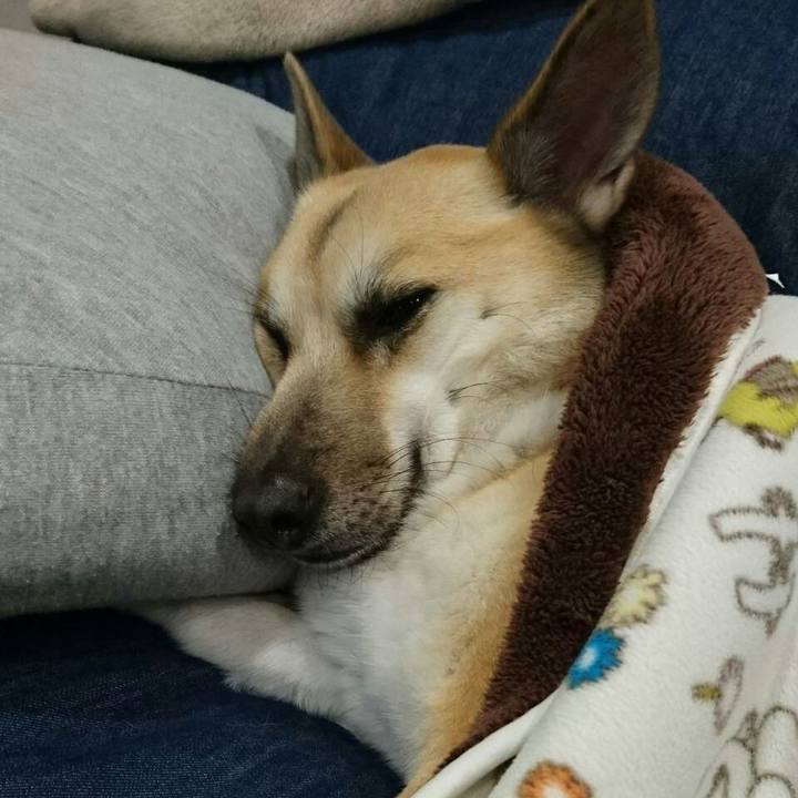 5f514637 cfbe 4784 b02d 15a9f9591a17