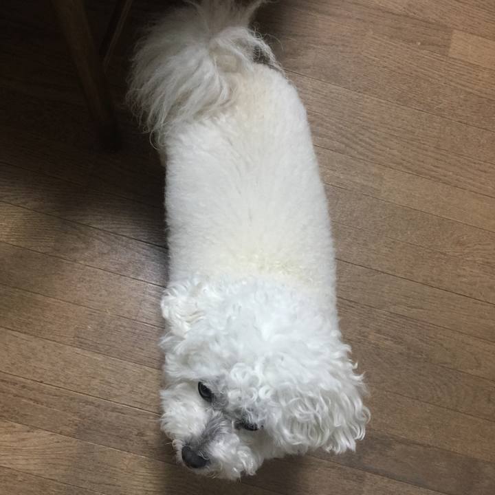 5f51dbde 61e5 4d4f 9d77 35ae6ad2036b