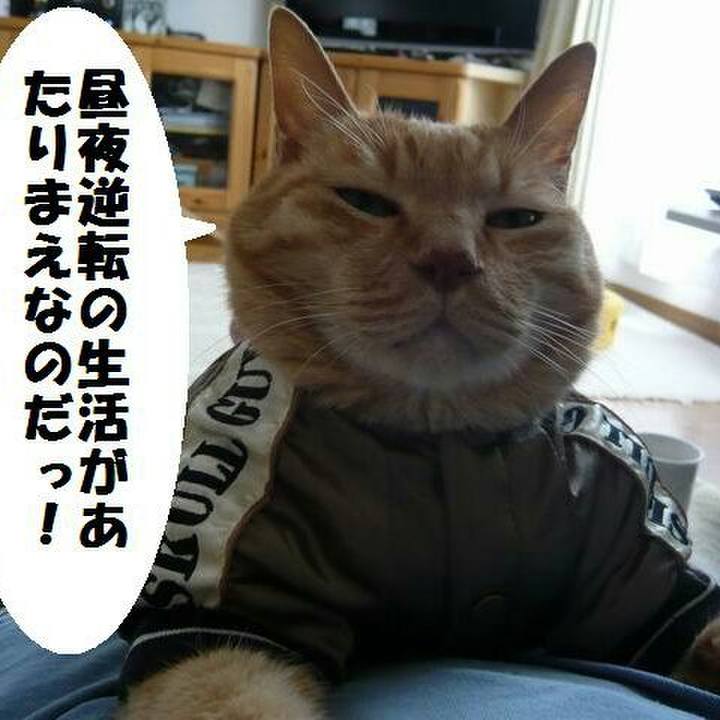 5f51ec47 795c 42ff a153 81e8e46070c3