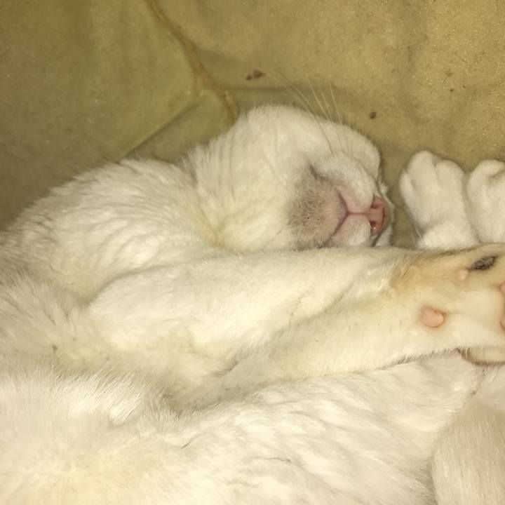 5f530915 307a 4418 8588 c865f224a2ed