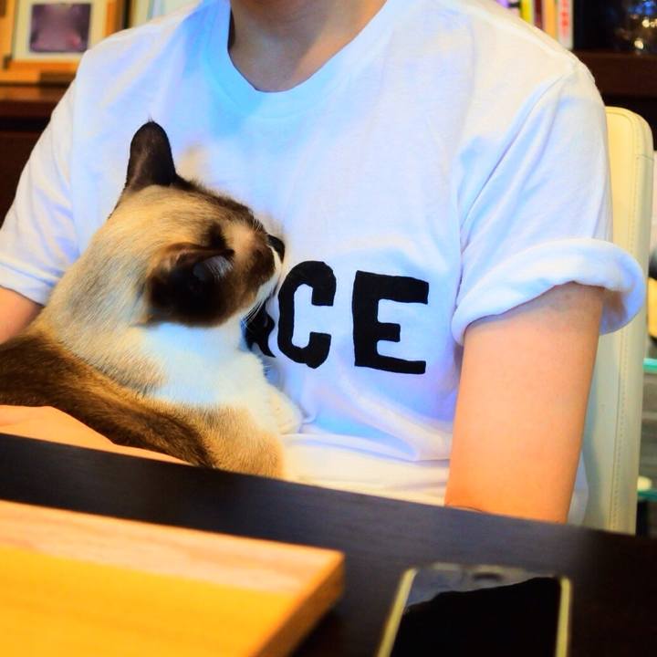 5f532532 0094 4f7f 8085 4d6b12f6838a