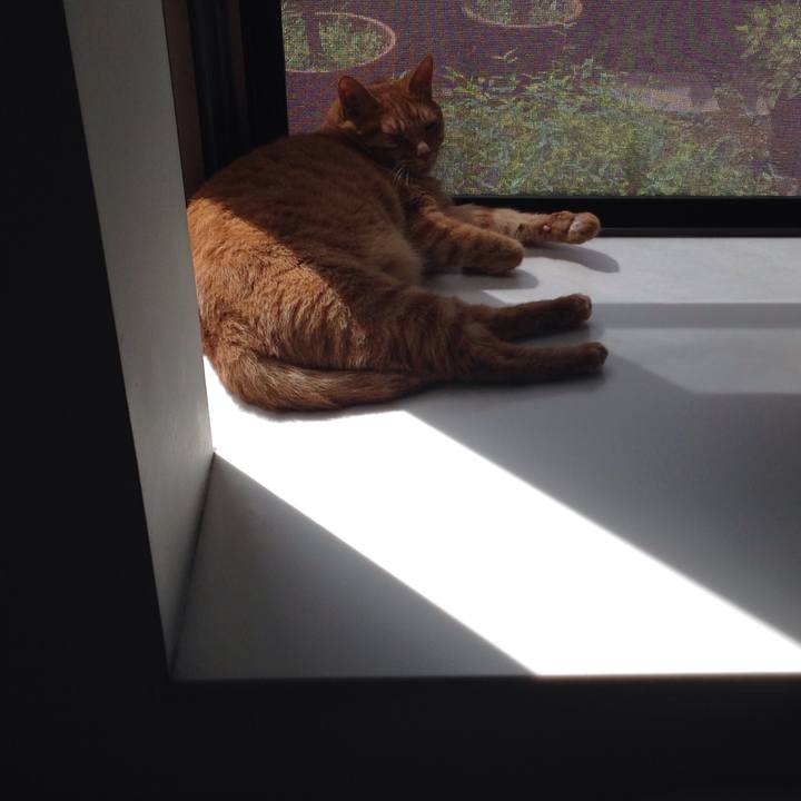 5f535bf2 5488 41b7 ac77 47bd8a30f59b