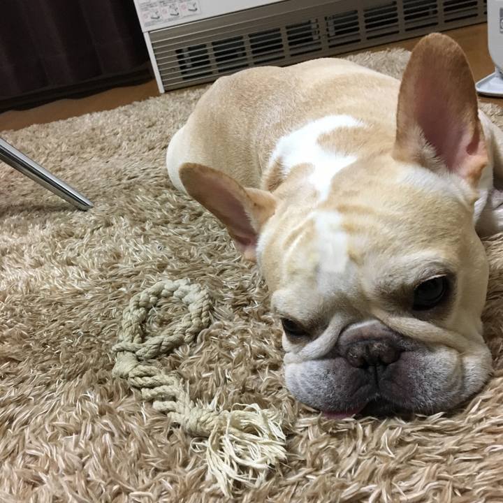 5f53a8df c9ab 435d b81d b4ecde3e47d5