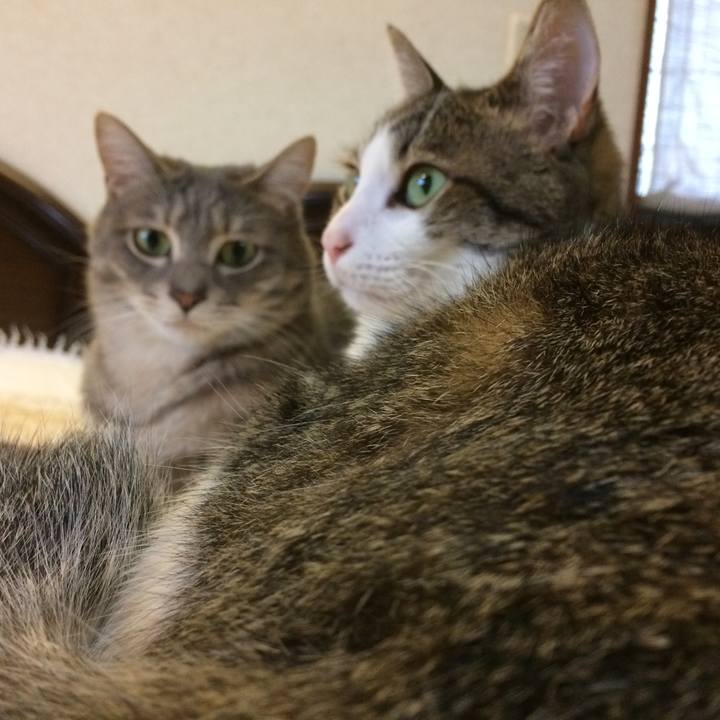 5f543779 1f92 4bc2 9375 48170a137248