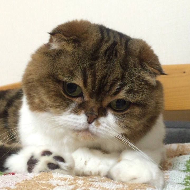 5f550b71 e3e6 431a 9d6a a7071652aa93