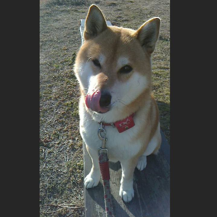 5f552482 3e1a 406f aa70 8ce1cbbda30c