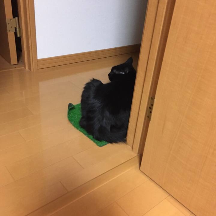 5f554473 bc43 4287 a72d e397167a6b7f