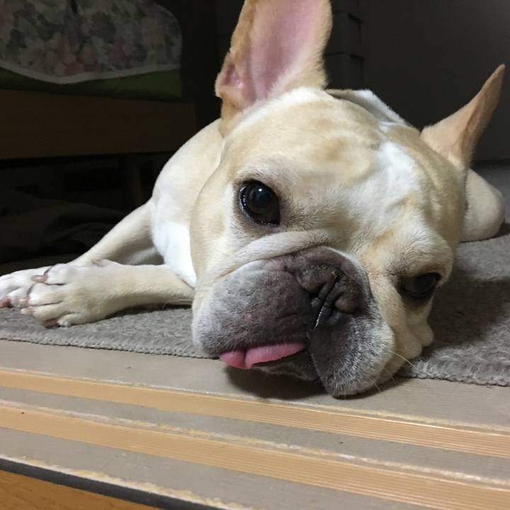 5f569aa0 6321 4ab7 8fc0 f27d6d3f105a