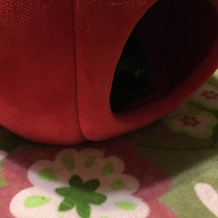 5f56c6ed 8702 4f5a b9ab 330e56acec7d