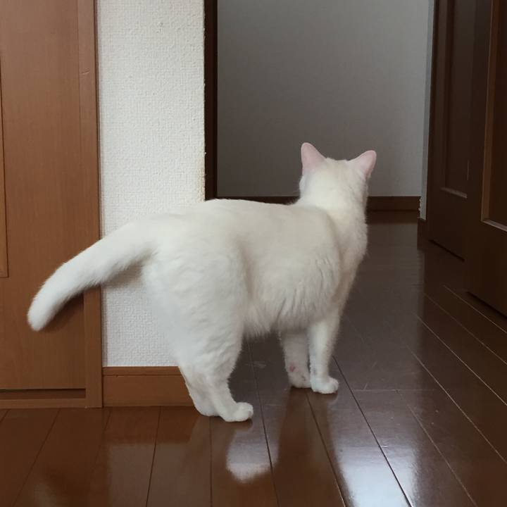 5f56d7d2 e6b5 43ba 8fef 5204ec3ffdee