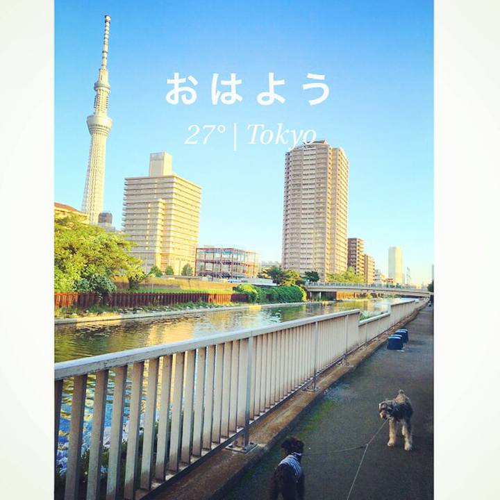 5f571fde ba87 457c 94c9 9f7bb0e5540f