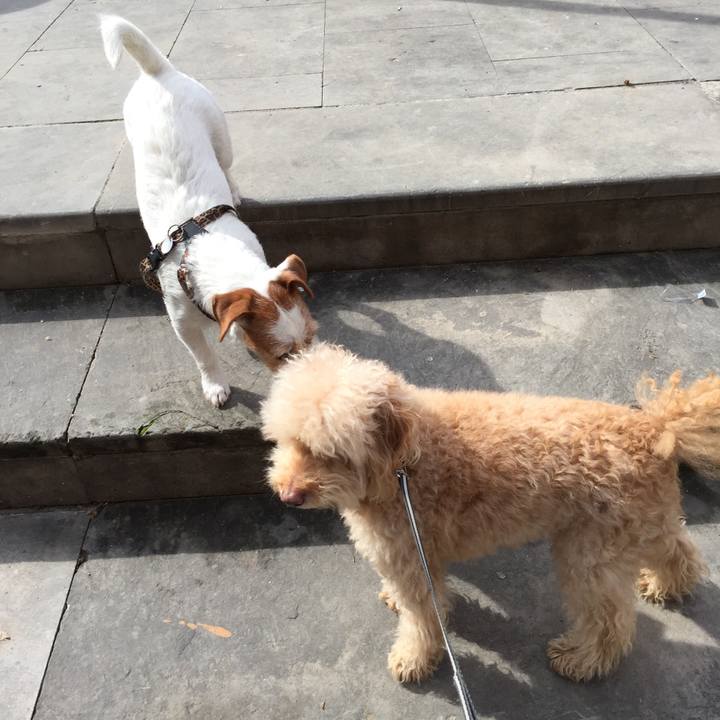 5f5883f2 7820 467c 9d21 467ba63f3c30