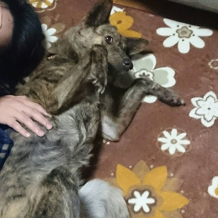 5f58a2b8 e73b 484c a6fc c0ba6c4e34ed