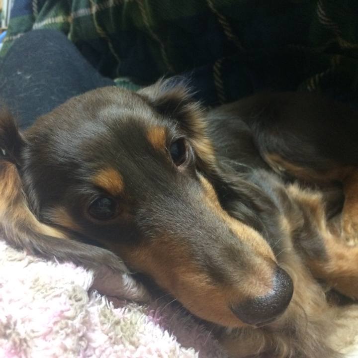 5f58b832 98e1 400b 837b d831d0c7bea2